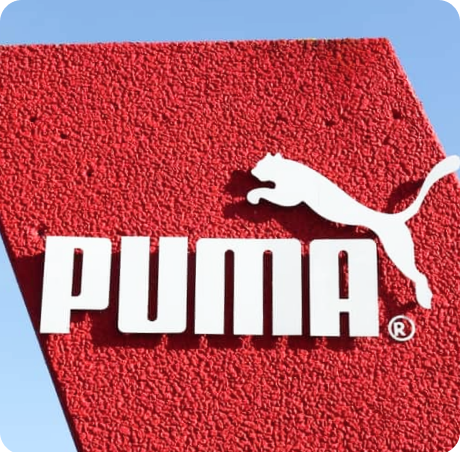 puma