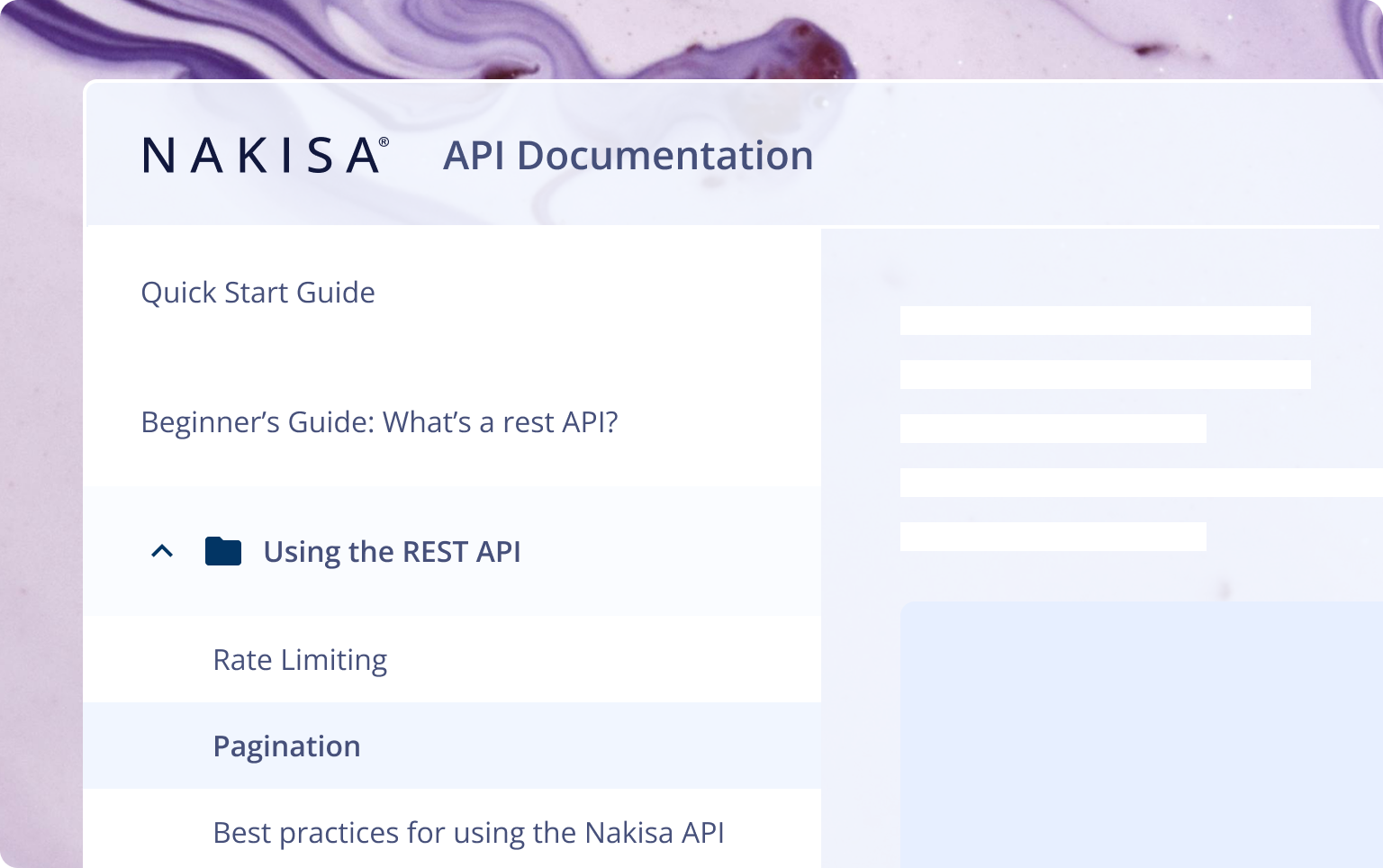 A sidebar navigation for Nakisa API Documentation. It shows "Quick Start Guide," "Beginner's Guide: What's a rest API?", and an expanded "Using the REST API" section with "Rate Limiting" and "Pagination."
